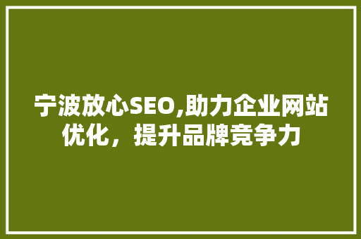 宁波放心SEO,助力企业网站优化，提升品牌竞争力