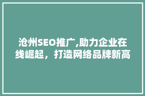 沧州SEO推广,助力企业在线崛起，打造网络品牌新高度
