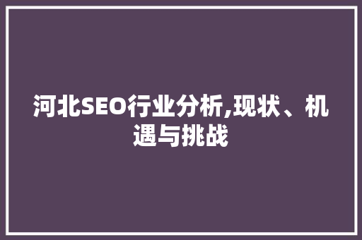 河北SEO行业分析,现状、机遇与挑战