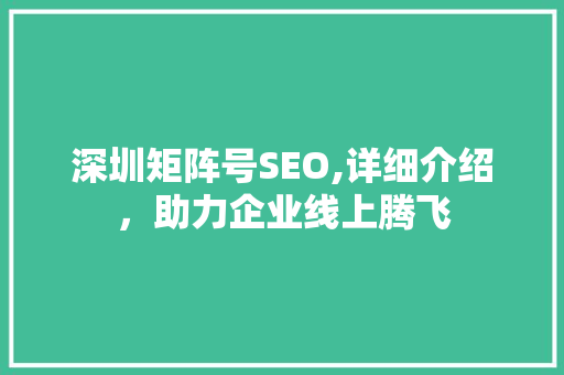 深圳矩阵号SEO,详细介绍，助力企业线上腾飞