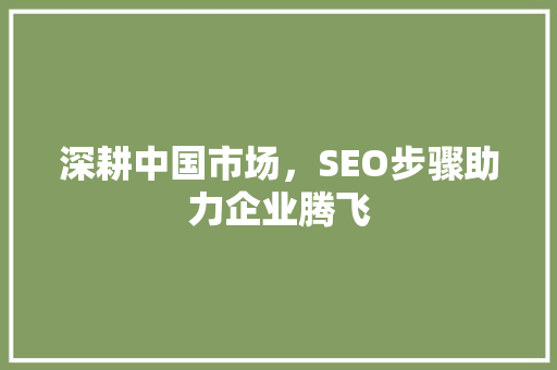 深耕中国市场，SEO步骤助力企业腾飞