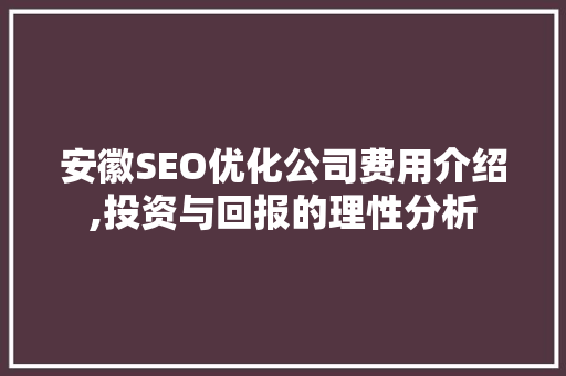 安徽SEO优化公司费用介绍,投资与回报的理性分析