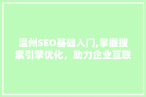 温州SEO基础入门,掌握搜索引擎优化，助力企业互联网发展