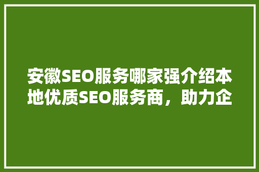 安徽SEO服务哪家强介绍本地优质SEO服务商，助力企业腾飞！