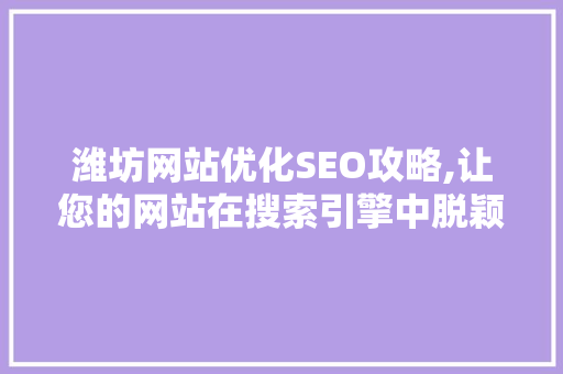 潍坊网站优化SEO攻略,让您的网站在搜索引擎中脱颖而出