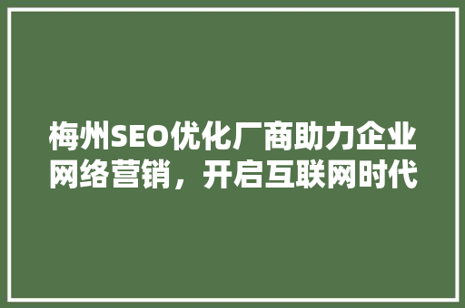 梅州SEO优化厂商助力企业网络营销，开启互联网时代新篇章