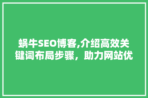 蜗牛SEO博客,介绍高效关键词布局步骤，助力网站优化之路  第1张