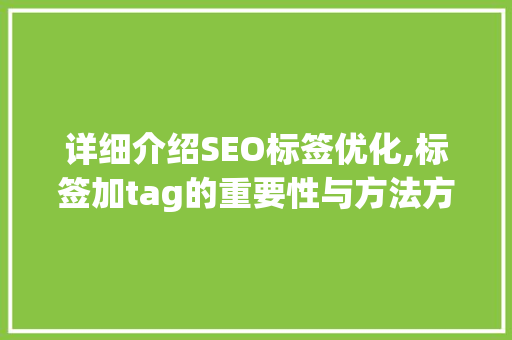 详细介绍SEO标签优化,标签加tag的重要性与方法方法