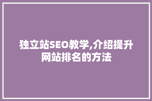 独立站SEO教学,介绍提升网站排名的方法