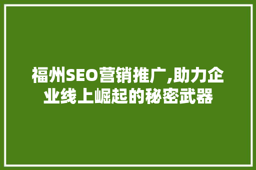 福州SEO营销推广,助力企业线上崛起的秘密武器
