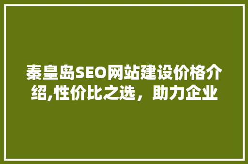 秦皇岛SEO网站建设价格介绍,性价比之选，助力企业腾飞