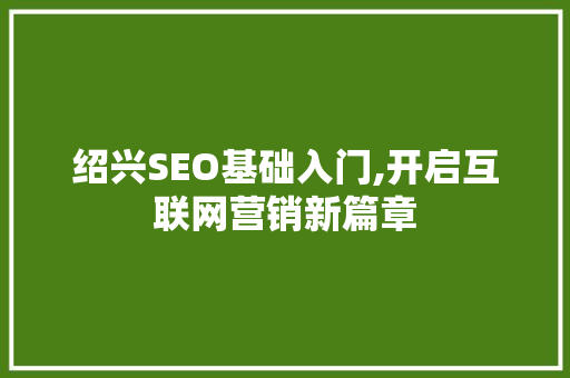绍兴SEO基础入门,开启互联网营销新篇章