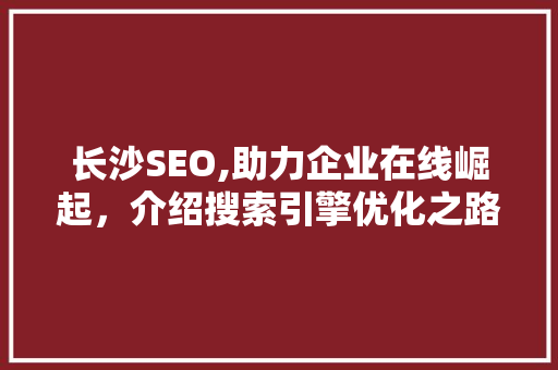 长沙SEO,助力企业在线崛起，介绍搜索引擎优化之路