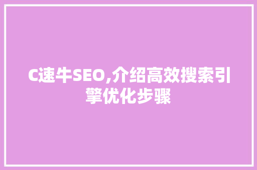 C速牛SEO,介绍高效搜索引擎优化步骤
