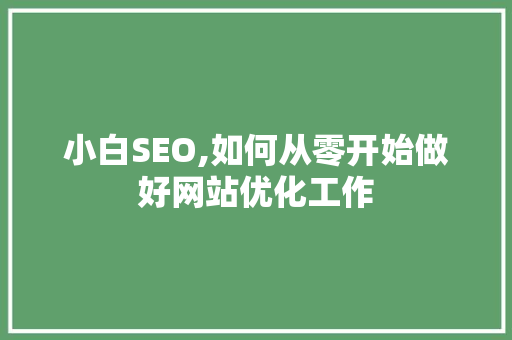 小白SEO,如何从零开始做好网站优化工作  第1张