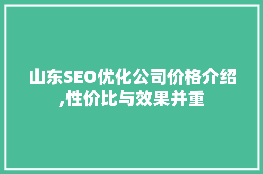 山东SEO优化公司价格介绍,性价比与效果并重