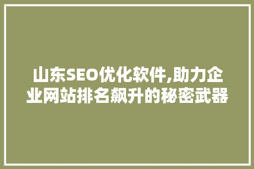 山东SEO优化软件,助力企业网站排名飙升的秘密武器