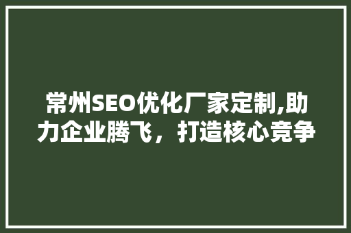 常州SEO优化厂家定制,助力企业腾飞，打造核心竞争力