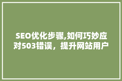 SEO优化步骤,如何巧妙应对503错误，提升网站用户体验与搜索引擎排名