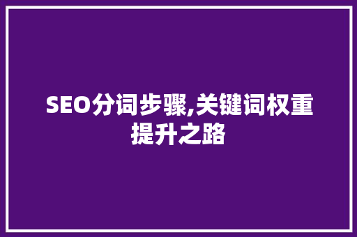 SEO分词步骤,关键词权重提升之路