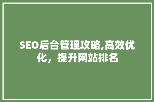 SEO后台管理攻略,高效优化，提升网站排名