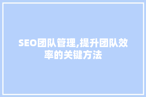 SEO团队管理,提升团队效率的关键方法
