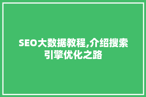 SEO大数据教程,介绍搜索引擎优化之路