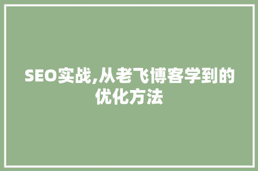 SEO实战,从老飞博客学到的优化方法