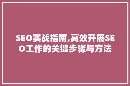 SEO实战指南,高效开展SEO工作的关键步骤与方法