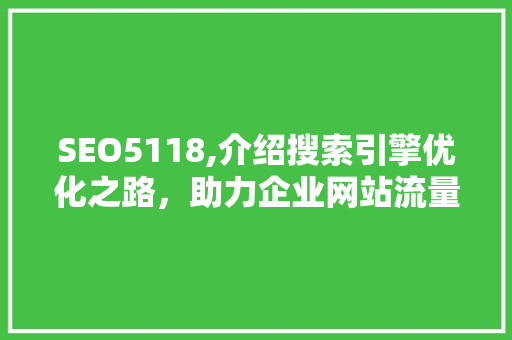 SEO5118,介绍搜索引擎优化之路，助力企业网站流量飙升
