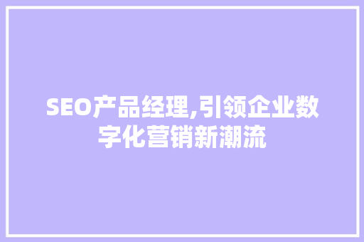 SEO产品经理,引领企业数字化营销新潮流