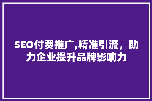 SEO付费推广,精准引流，助力企业提升品牌影响力