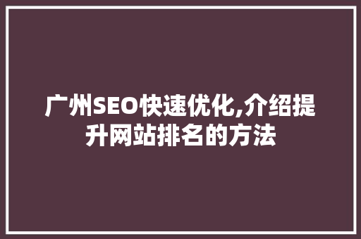广州SEO快速优化,介绍提升网站排名的方法