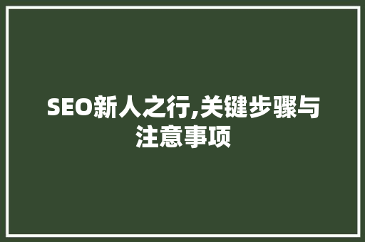 SEO新人之行,关键步骤与注意事项