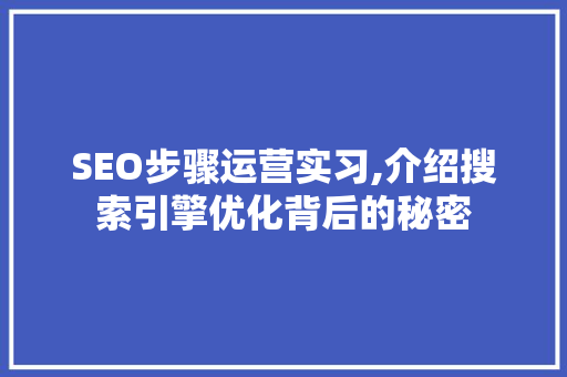 SEO步骤运营实习,介绍搜索引擎优化背后的秘密