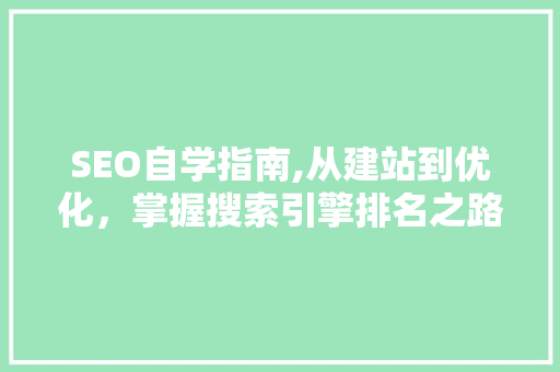 SEO自学指南,从建站到优化，掌握搜索引擎排名之路