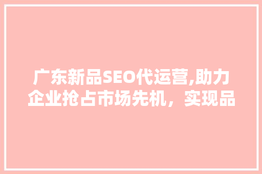 广东新品SEO代运营,助力企业抢占市场先机，实现品牌价值最大化