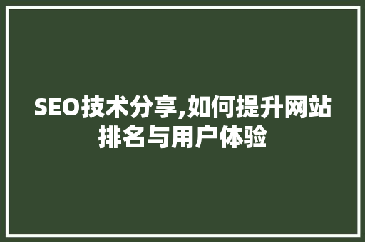SEO技术分享,如何提升网站排名与用户体验