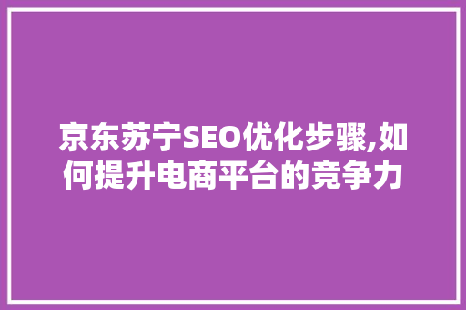 京东苏宁SEO优化步骤,如何提升电商平台的竞争力