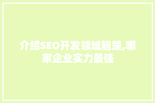 介绍SEO开发领域翘楚,哪家企业实力最强