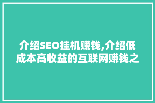 介绍SEO挂机赚钱,介绍低成本高收益的互联网赚钱之路
