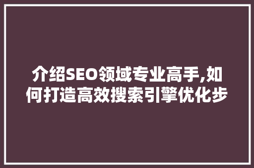 介绍SEO领域专业高手,如何打造高效搜索引擎优化步骤