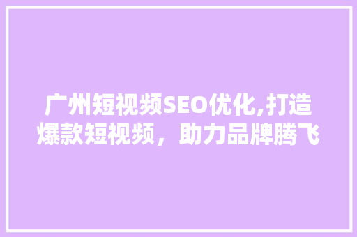 广州短视频SEO优化,打造爆款短视频，助力品牌腾飞
