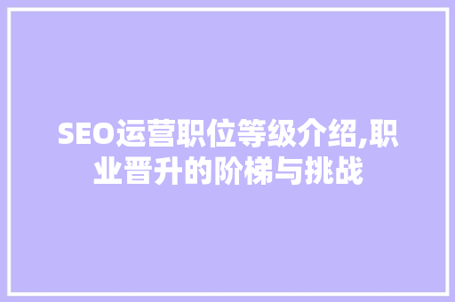 SEO运营职位等级介绍,职业晋升的阶梯与挑战
