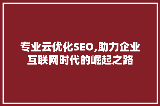 专业云优化SEO,助力企业互联网时代的崛起之路