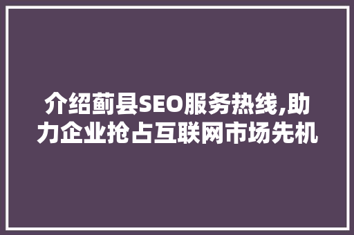 介绍蓟县SEO服务热线,助力企业抢占互联网市场先机