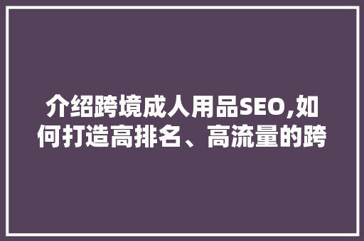 介绍跨境成人用品SEO,如何打造高排名、高流量的跨境电商平台