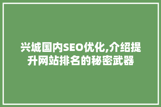 兴城国内SEO优化,介绍提升网站排名的秘密武器