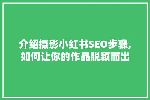 介绍摄影小红书SEO步骤,如何让你的作品脱颖而出