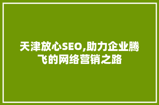 天津放心SEO,助力企业腾飞的网络营销之路